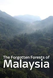 The Forgotten Forests of Malaysia series tv