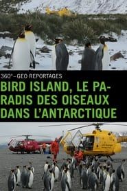 Image Bird Island, le paradis des oiseaux dans l'Antarctique 2015