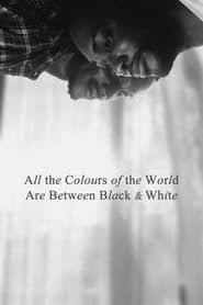 All the Colours of the World Are Between Black and White series tv