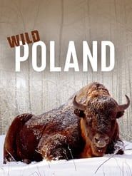 Wild Poland series tv