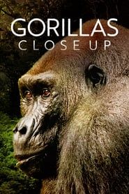 Gorillas Close Up series tv