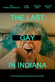 The Last Gay in Indiana series tv