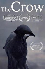 The Crow series tv