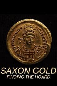 Image Saxon Gold: Finding the Hoard 2010