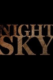 Image Night Sky 2011
