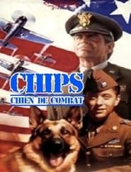 Chips, Chien de Combat-hd