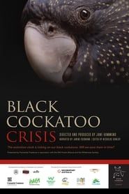 Black Cockatoo Crisis series tv