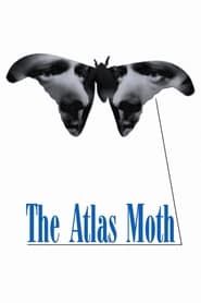 The Atlas Moth-hd