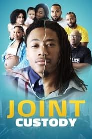Joint Custody series tv