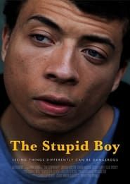 The Stupid Boy series tv