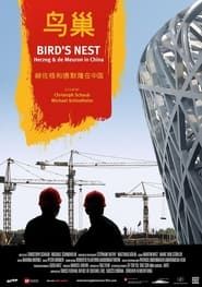 Bird's Nest - Herzog & de Meuron in China series tv