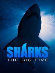 Sharks - The Big Five series tv