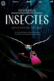 Mystérieux insectes, sur la piste des origines series tv