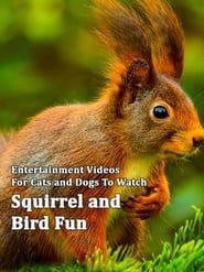 Squirrel and Bird Fun series tv