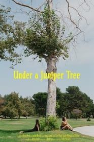 watch Under a Juniper Tree