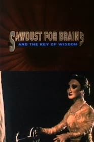 Sawdust for Brains and the Key of Wisdom series tv