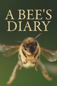 A Bee's Diary series tv