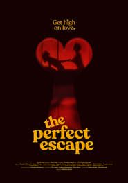 The Perfect Escape series tv