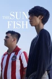 Image The Sunfish