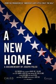 A New Home series tv