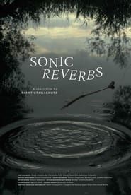 Sonic Reverbs series tv