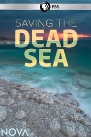 Image Saving the Dead Sea