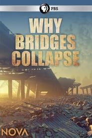 Image Why Bridges Collapse