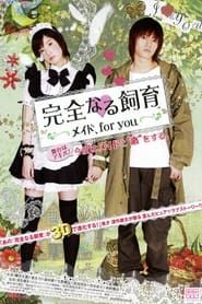 Perfect Education: A Maid for You series tv