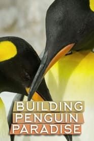 Building Penguin Paradise series tv