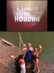 A Tribute to Houdini series tv