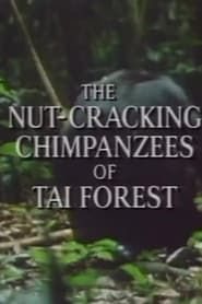 The Nut Cracking Chimpanzees of Taï Forest series tv