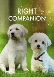 The Right Companion series tv