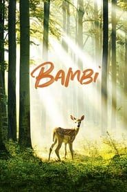 Image Bambi, l'histoire d'une vie dans les bois