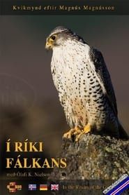 In the Realm of the Gyr Falcon series tv