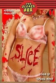 Slice ()