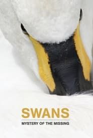 Image Swans: Mystery of the Missing