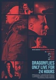 Dragonfiles Only Live for 24 Hours series tv