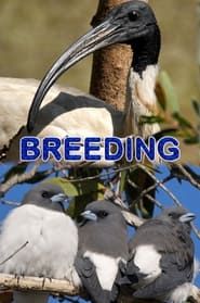Breeding series tv