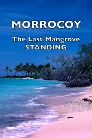 Morrocoy: The Last Mangrove Standing series tv