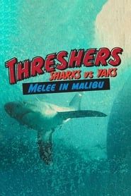Image Threshers: Sharks vs. Yaks, Melee in Malibu