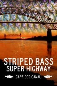 Image Striped Bass Super Highway: Cape Cod Canal