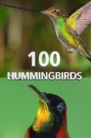 100 Hummingbirds series tv