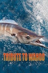 Tribute to Wahoo series tv