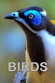 Birds series tv