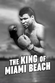 The King of Miami Beach series tv