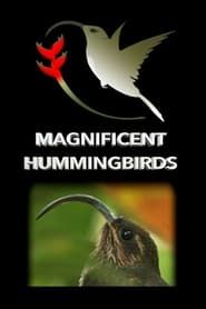 Magnificent Hummingbirds series tv