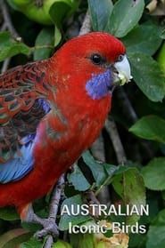 Image Australian Iconic Birds