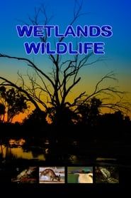 Image Wetlands Wildlife