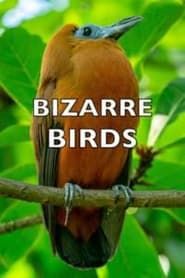 Bizarre Birds series tv