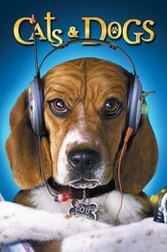 Comme chiens et chats 2001 streaming